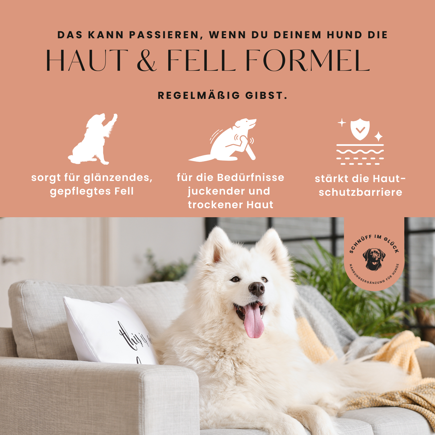 Funktionsleckerli • Haut & Fell Formel – Bild 9