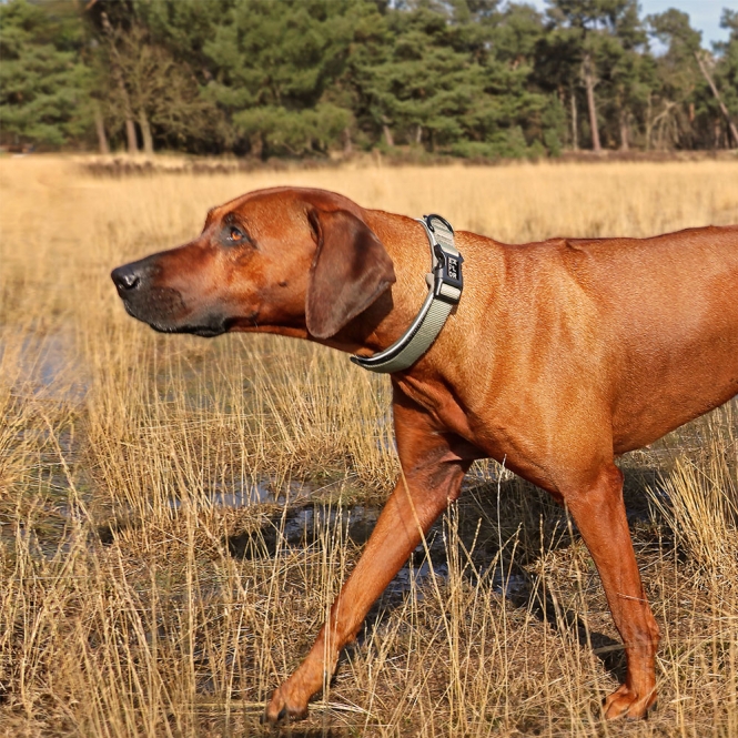 Duvoplus EXPLOR Ultimate Fit Comfy Halsband Classic - Undercover Green - XS - 30-33cm – Bild 4