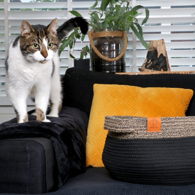 D&D Katzenkorb Tod - schwarz – Bild 4