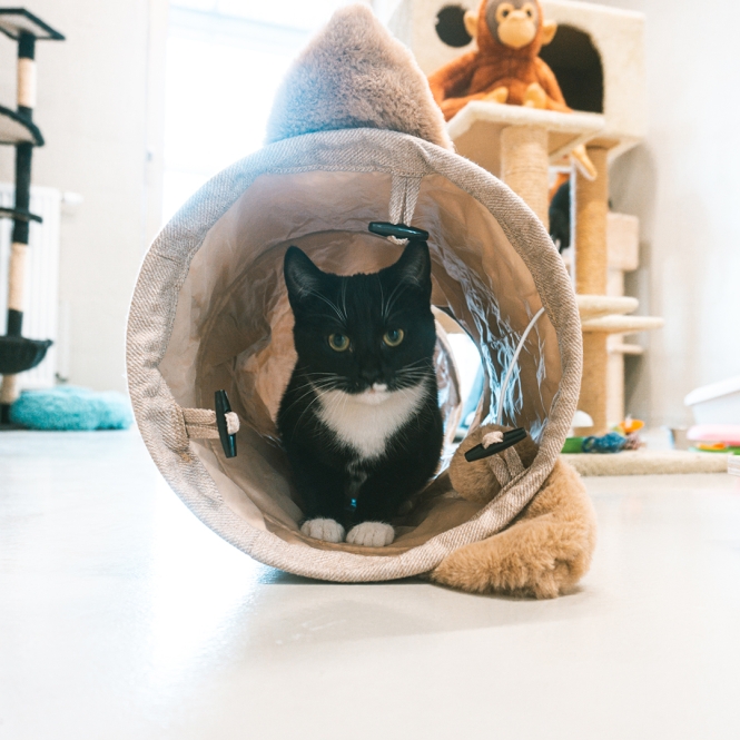 Duvoplus Spieltunnel Cozette 90 x 25cm – Bild 3