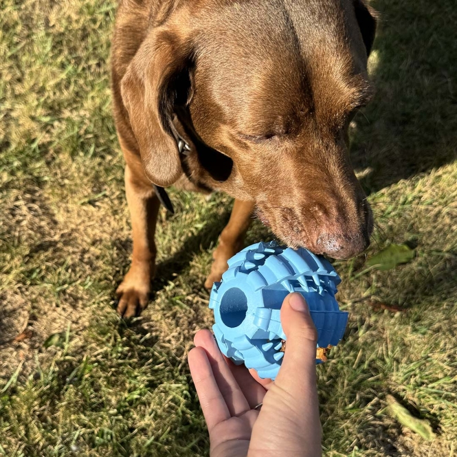 Duvoplus Ball Griplay Dental Rippe - Blau – Bild 4