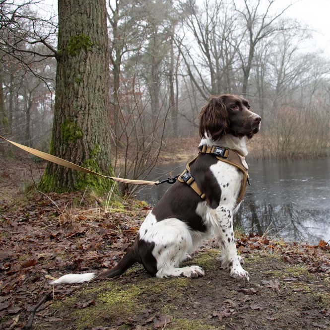 Duvoplus EXPLOR Ultimate Fit No-Pull-Geschirr - honey gold - XS - 28-37cm - 32-43cm – Bild 5