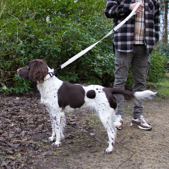 Duvoplus EXPLOR Ultimate Fit Control Halsband Fashion - antique white - M - 39-44cm – Bild 4