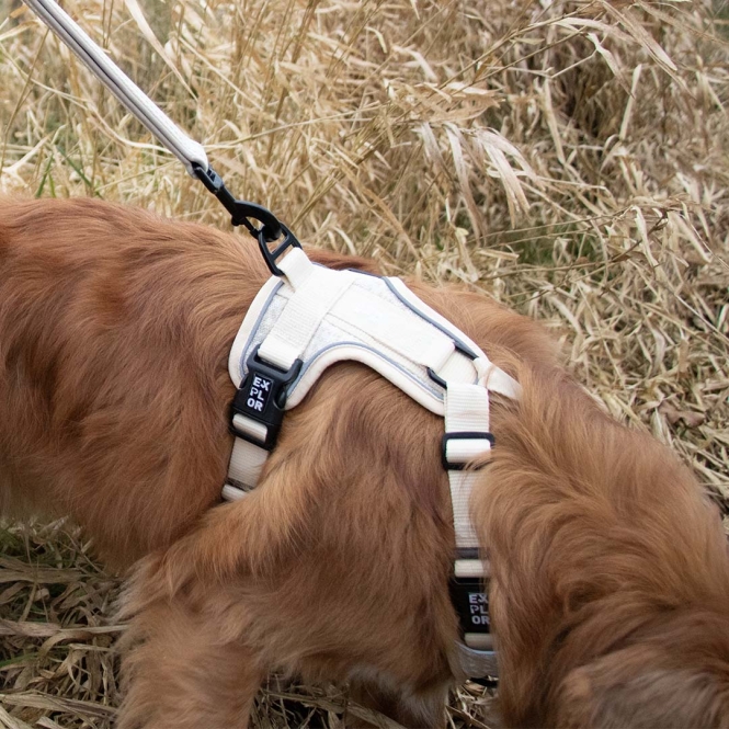 Duvoplus EXPLOR Ultimate Fit No-Pull-Geschirr - antique white - L - 48-58cm - 58-81cm – Bild 4