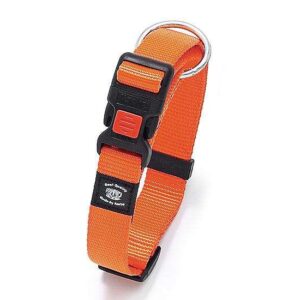 Karlie ASP Halsband verstellbar - Orange - 20 mm, 40-55 cm
